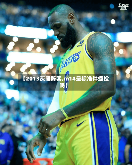 【2013灰熊阵容,m14是标准件螺栓吗】