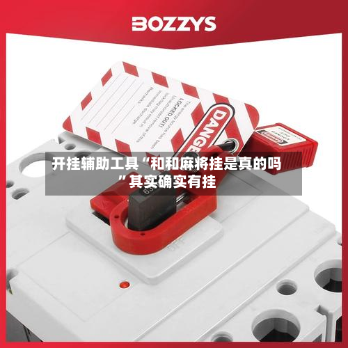 开挂辅助工具“和和麻将挂是真的吗”其实确实有挂-第2张图片