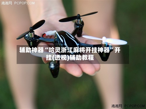 辅助神器“哈灵浙江麻将开挂神器”开挂(透视)辅助教程