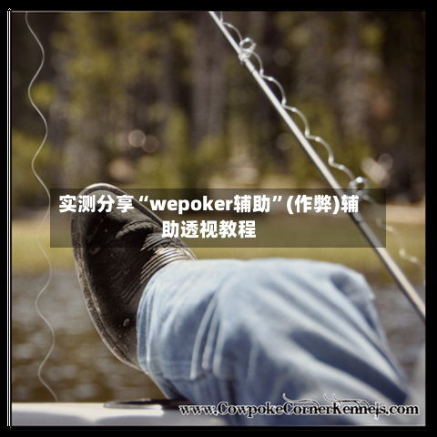 实测分享“wepoker辅助”(作弊)辅助透视教程-第1张图片