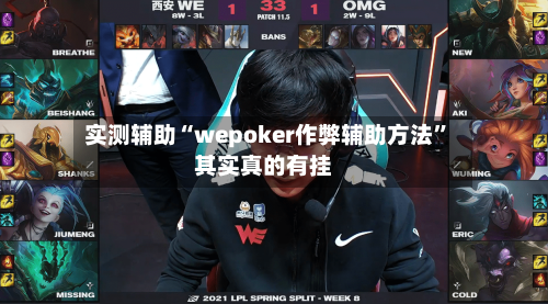 实测辅助“wepoker作弊辅助方法”其实真的有挂-第2张图片
