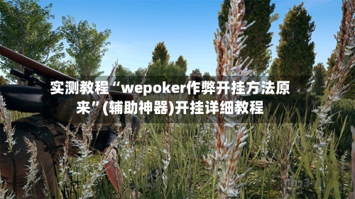 实测教程“wepoker作弊开挂方法原来”(辅助神器)开挂详细教程-第2张图片