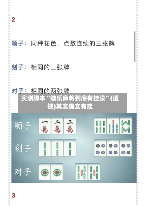 实测脚本“微乐麻将到底有挂没”(透视)其实确实有挂-第2张图片