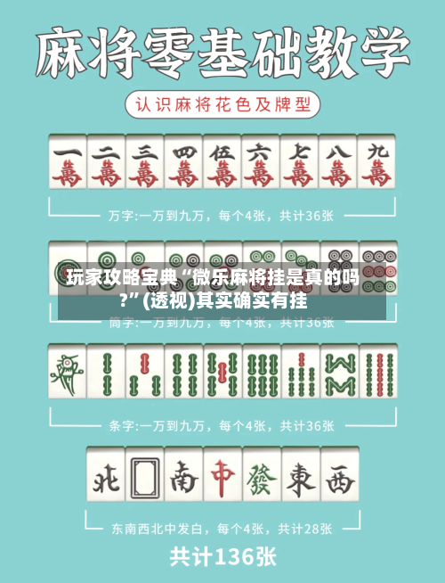 玩家攻略宝典“微乐麻将挂是真的吗?”(透视)其实确实有挂-第2张图片