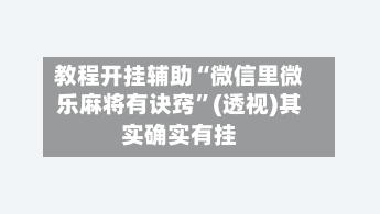 教程开挂辅助“微信里微乐麻将有诀窍	”(透视)其实确实有挂-第2张图片