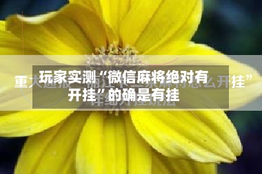 玩家实测“微信麻将绝对有开挂	”的确是有挂-第2张图片