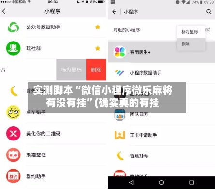 实测脚本“微信小程序微乐麻将有没有挂”(确实真的有挂-第2张图片