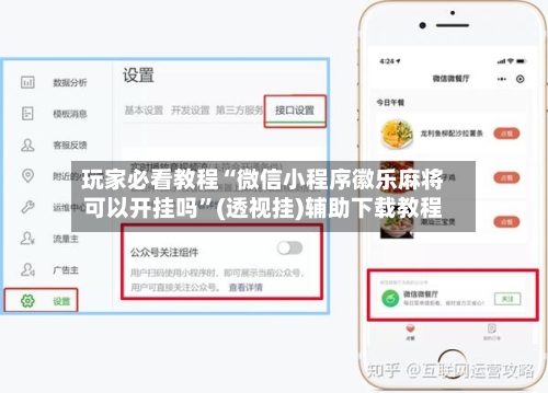 玩家必看教程“微信小程序徽乐麻将可以开挂吗”(透视挂)辅助下载教程-第3张图片