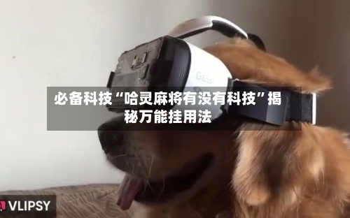 必备科技“哈灵麻将有没有科技”揭秘万能挂用法-第2张图片