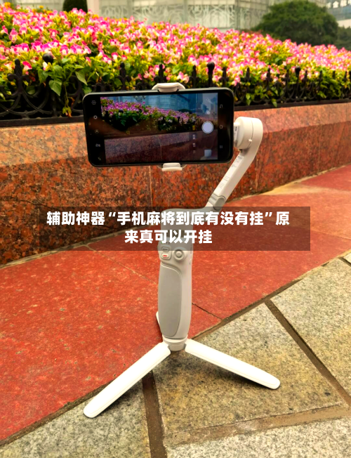 辅助神器“手机麻将到底有没有挂”原来真可以开挂-第1张图片