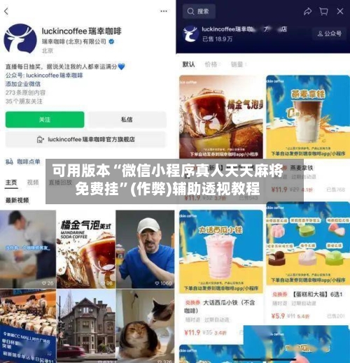 可用版本“微信小程序真人天天麻将免费挂”(作弊)辅助透视教程-第3张图片