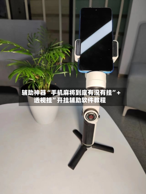 辅助神器“手机麻将到底有没有挂”+透视挂	”开挂辅助软件教程-第2张图片