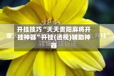 开挂技巧“天天贵阳麻将开挂神器”开挂(透视)辅助神器-第2张图片