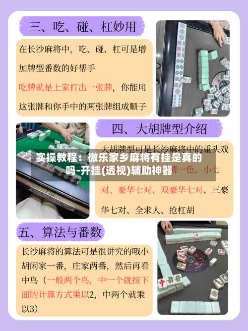 实操教程：微乐家乡麻将有挂是真的吗-开挂(透视)辅助神器-第2张图片