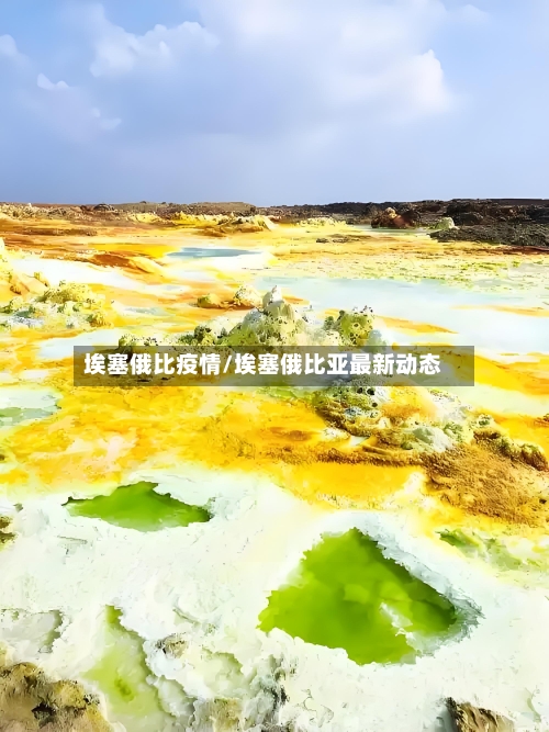 埃塞俄比疫情/埃塞俄比亚最新动态-第2张图片