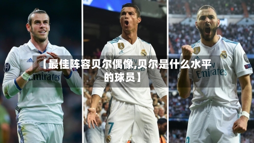 【最佳阵容贝尔偶像,贝尔是什么水平的球员】-第2张图片