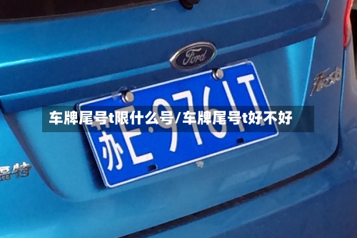车牌尾号t限什么号/车牌尾号t好不好-第2张图片
