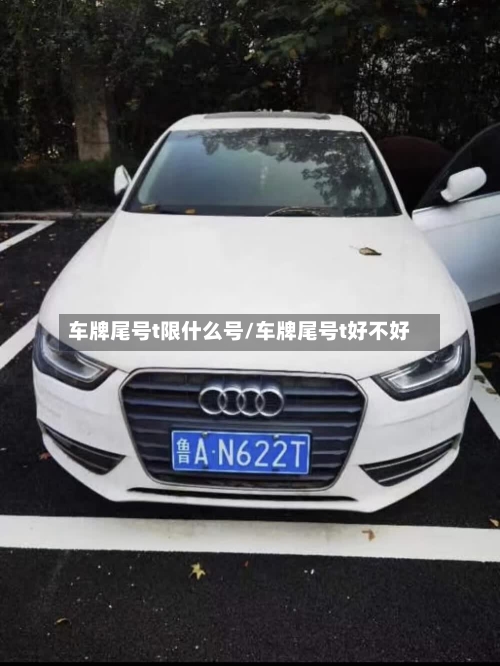 车牌尾号t限什么号/车牌尾号t好不好