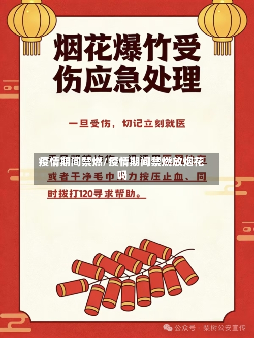 疫情期间禁燃/疫情期间禁燃放烟花吗-第3张图片