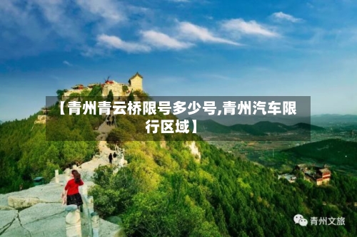 【青州青云桥限号多少号,青州汽车限行区域】