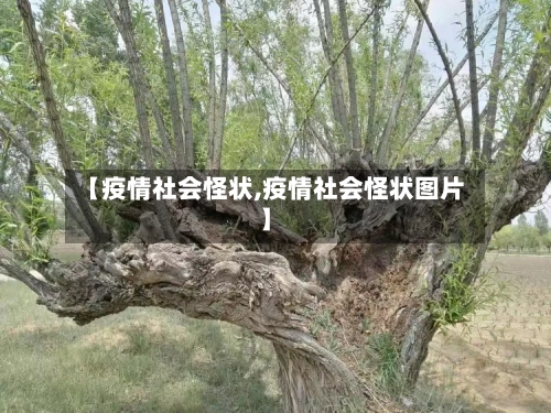 【疫情社会怪状,疫情社会怪状图片】-第2张图片
