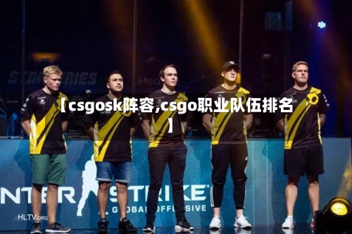 【csgosk阵容,csgo职业队伍排名】-第3张图片