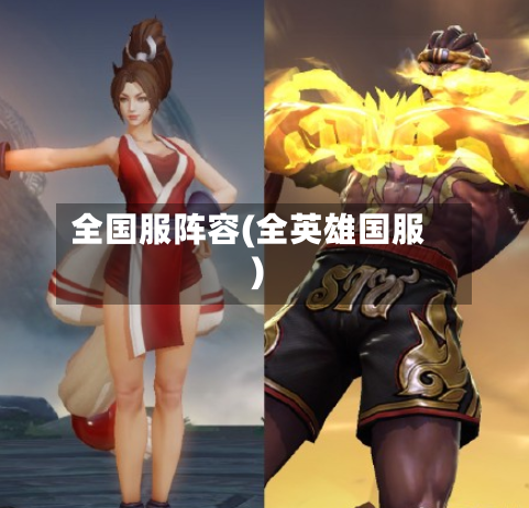 全国服阵容(全英雄国服)