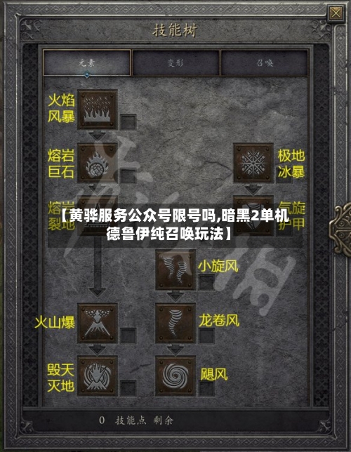 【黄骅服务公众号限号吗,暗黑2单机德鲁伊纯召唤玩法】-第2张图片