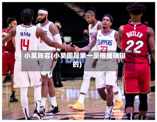 小莫阵容(小莫国服第一是根据啥排的)