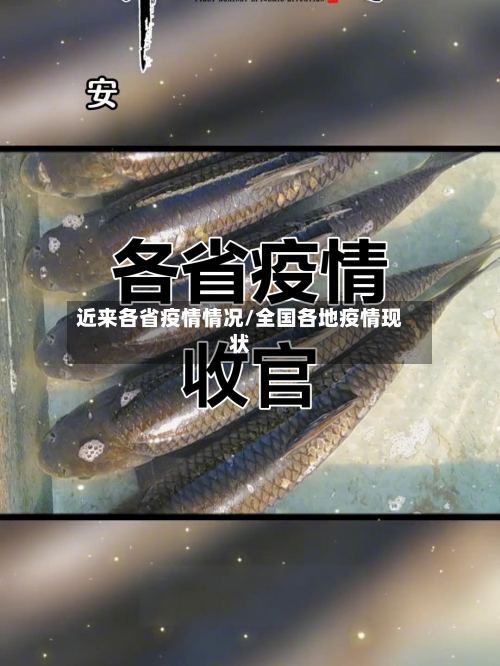 近来各省疫情情况/全国各地疫情现状-第3张图片