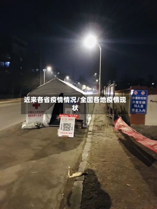 近来各省疫情情况/全国各地疫情现状