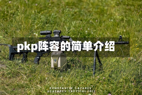 pkp阵容的简单介绍-第2张图片