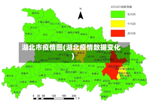 湖北市疫情图(湖北疫情数据变化)-第2张图片