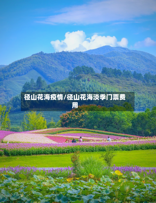 径山花海疫情/径山花海淡季门票费用-第3张图片