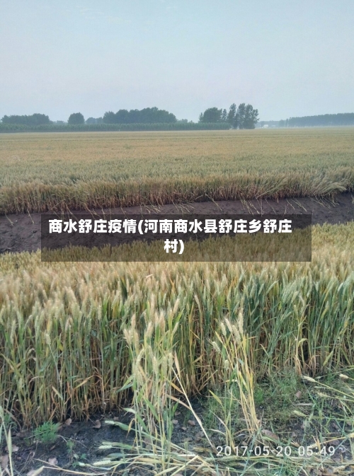 商水舒庄疫情(河南商水县舒庄乡舒庄村)