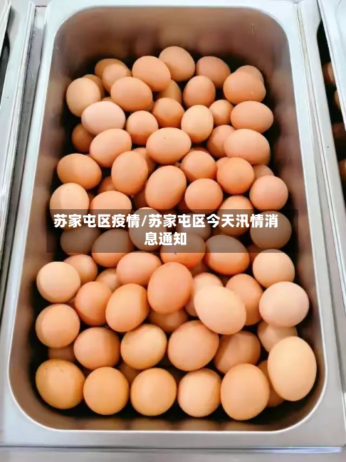 苏家屯区疫情/苏家屯区今天汛情消息通知