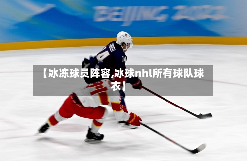 【冰冻球员阵容,冰球nhl所有球队球衣】-第2张图片