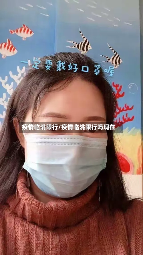 疫情临洮限行/疫情临洮限行吗现在-第2张图片