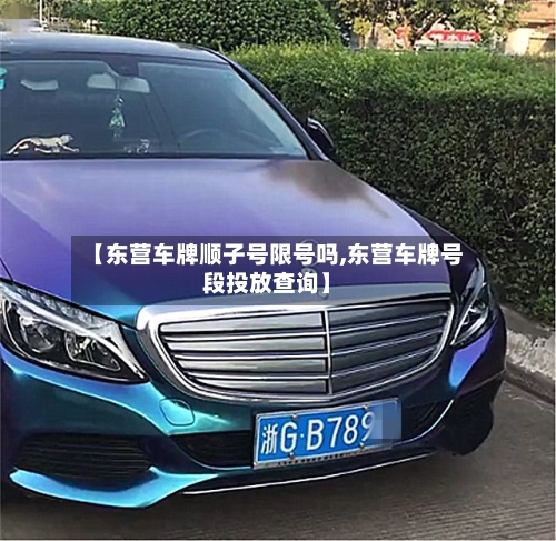 【东营车牌顺子号限号吗,东营车牌号段投放查询】-第2张图片