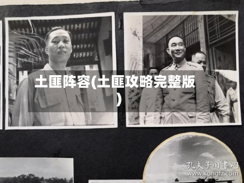 土匪阵容(土匪攻略完整版)